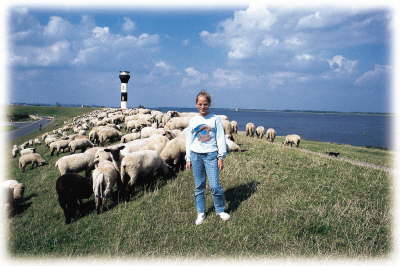 Elbdeich