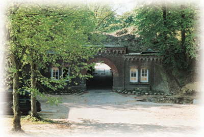 Grauer_2